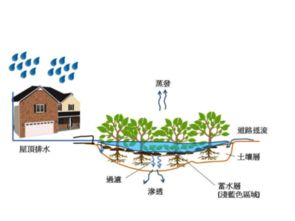 技術開發 從概念到實踐