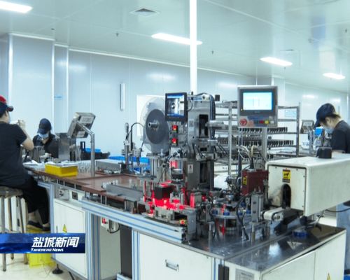 外媒看鹽都 創新驅動產業發展，技術服務助力堅決奪取“雙勝利”